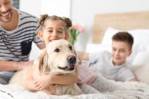 Dad, son and daughter playing with their dog in bed